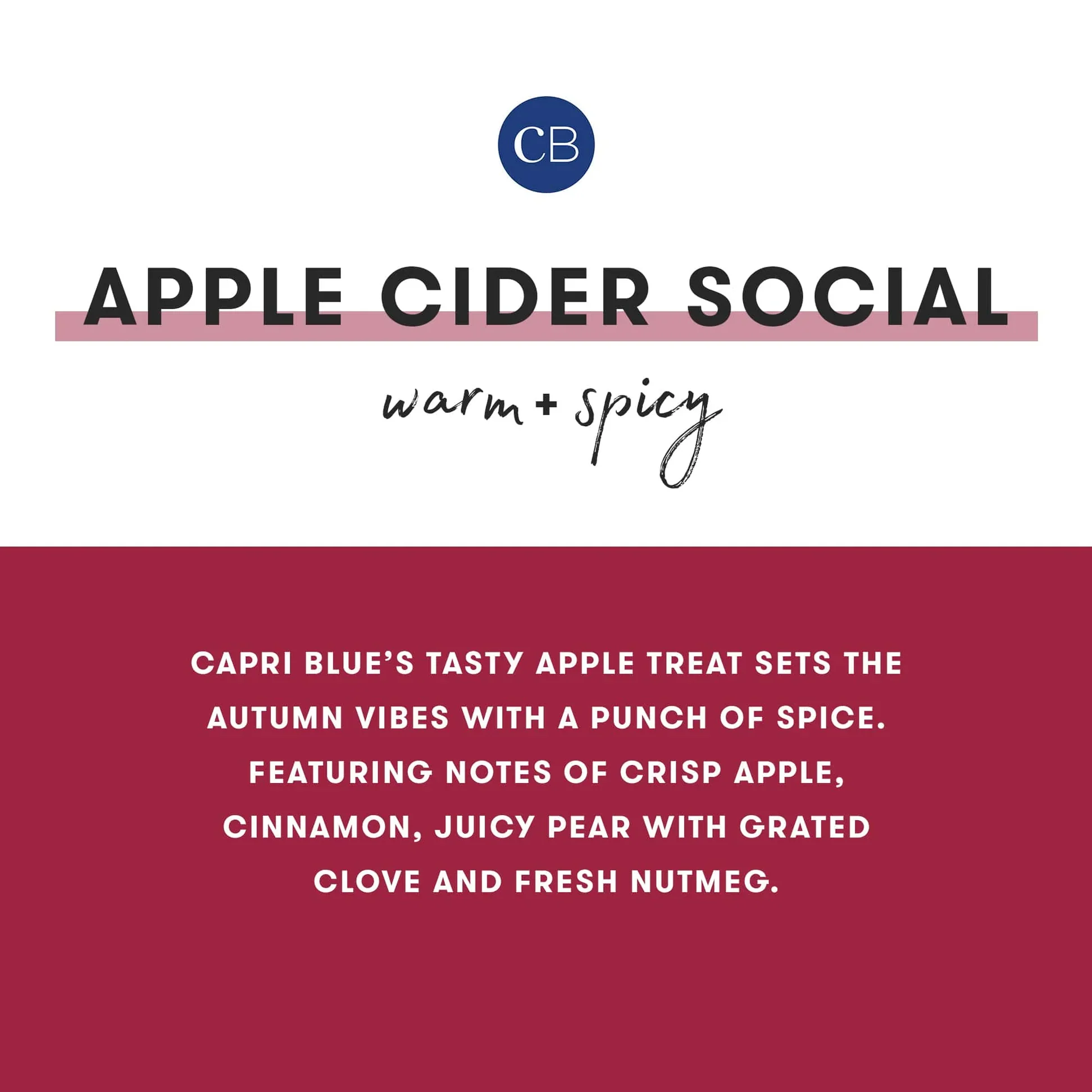 CAPRI BLUE - Apple Cider Social Holiday Pattern Play Petite Candle, 8 oz - Image 3